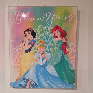 Disney Princess Colorful Believe Wall Art